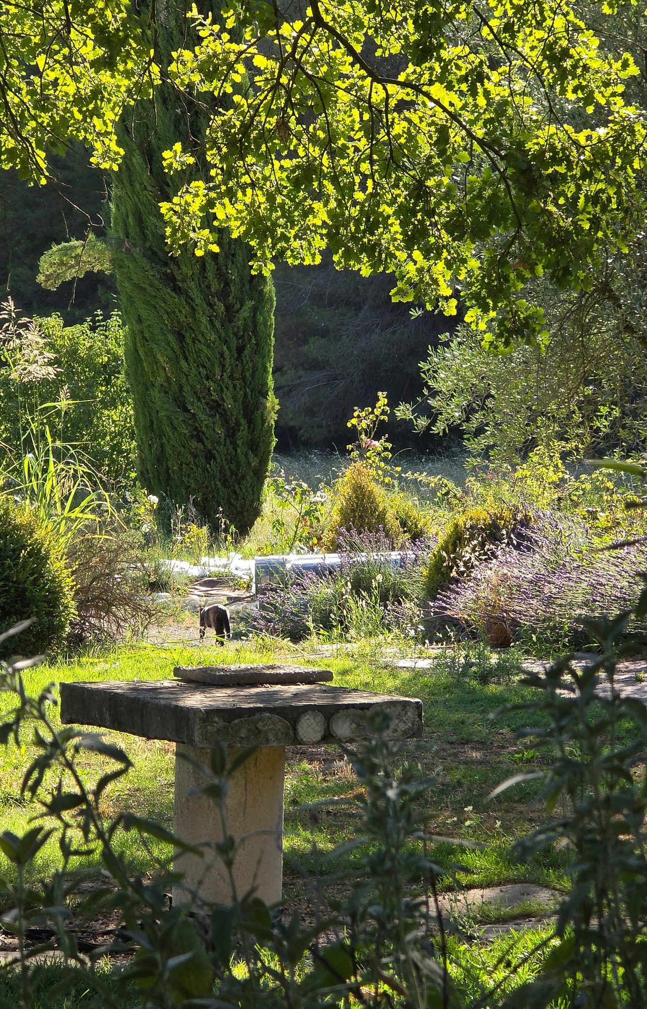 Nature & animaux